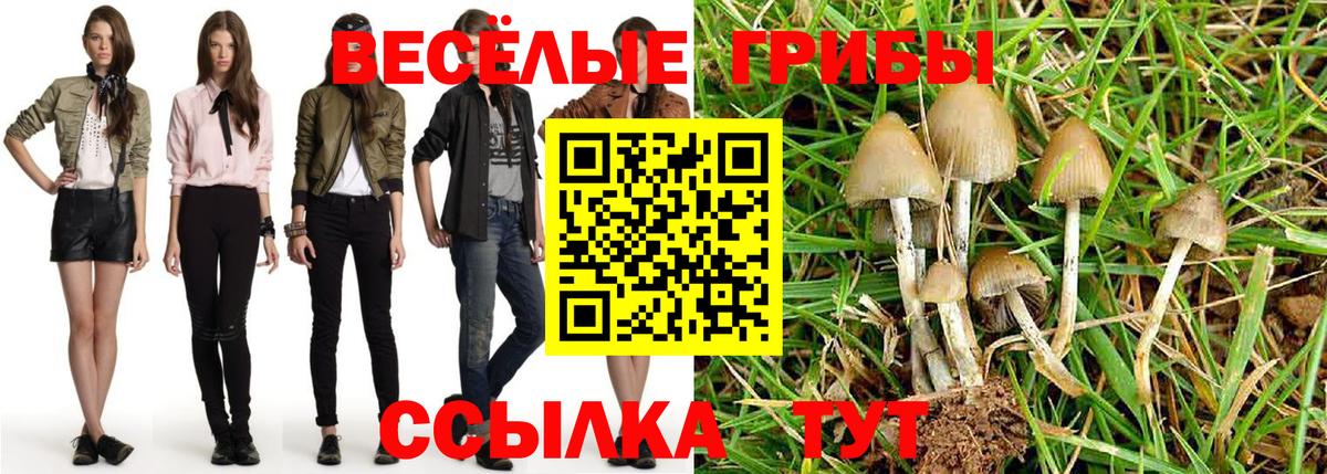 Галлюциногенные грибы мицелий  Вход с VPN  Бугульма 