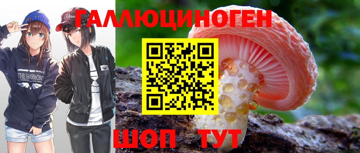 Псилоцибиновые грибы Cubensis Бугульма